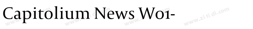 Capitolium News W01字体转换